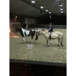 Lease pony/paard gezocht