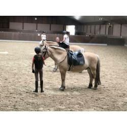 Lease pony/paard gezocht